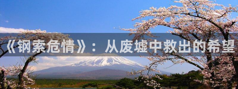 行业资讯